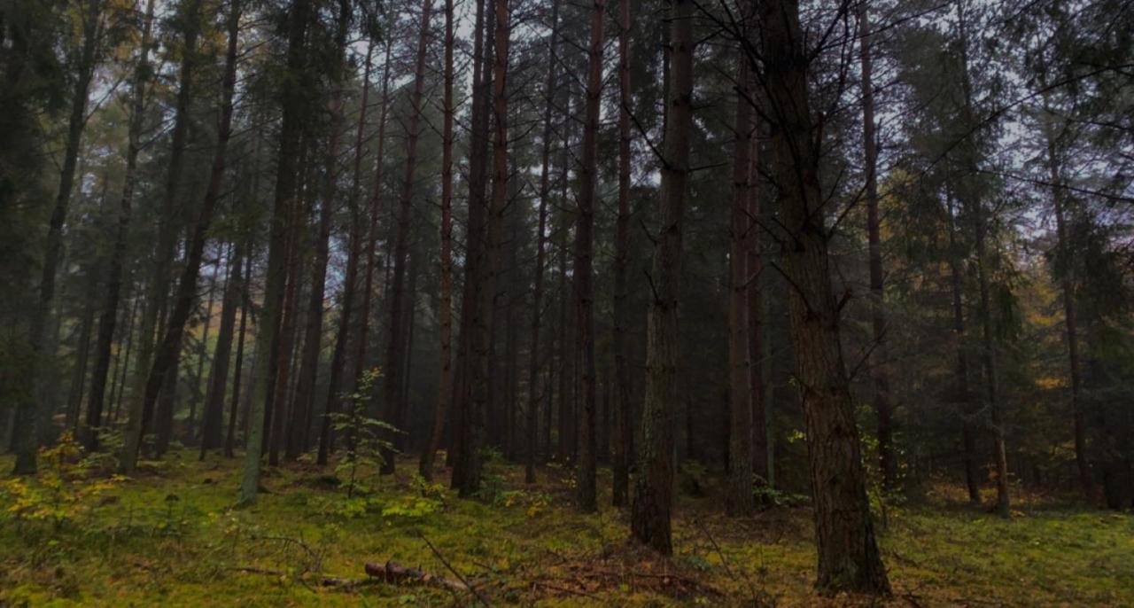 Nadmorski Dom Pod Lasem Villa Mieroszyno Bagian luar foto