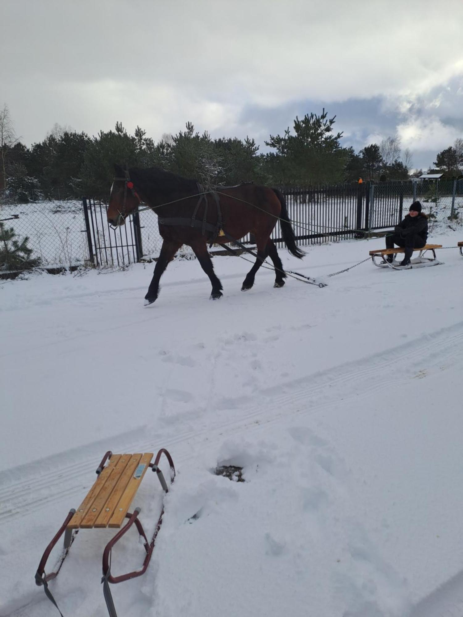 Nadmorski Dom Pod Lasem Villa Mieroszyno Bagian luar foto